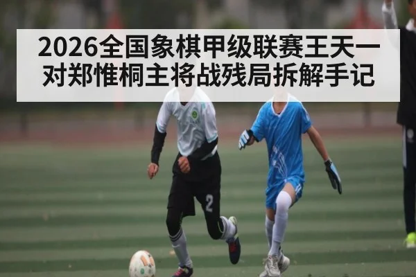 2026全国象棋甲级联赛王天一对郑惟桐主将战残局拆解手记